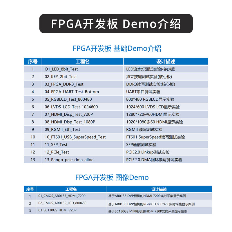 VF-P100K676