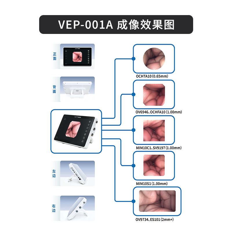 VEP-001A